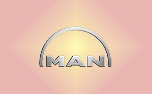 ✓ MAN 81.43619.6006 Запчасти МАН (MAN) 