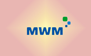 ✓ MWM 0350 9997 Запчасть MWM 